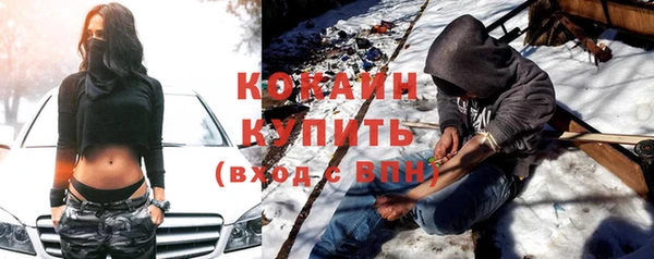 прущие крисы Каменка