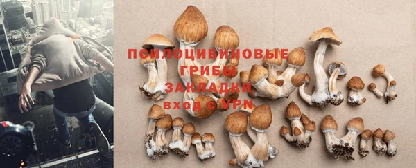 гашишное масло Инта