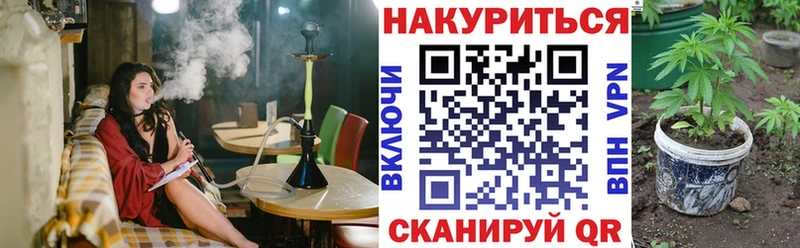 Канабис SATIVA & INDICA  Купить  Баксан 